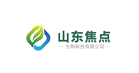 山东焦点